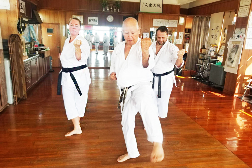 Karate dojo training experience