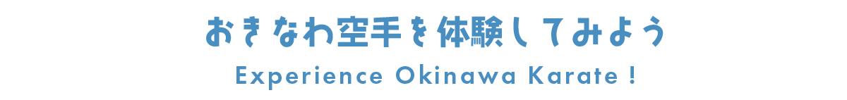 Experience Okinawan karate!